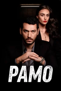 Рамо турецкий сериал